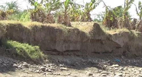 سيول أبين تجرف الأراضي الزراعية.. تضرر 84 مزرعة