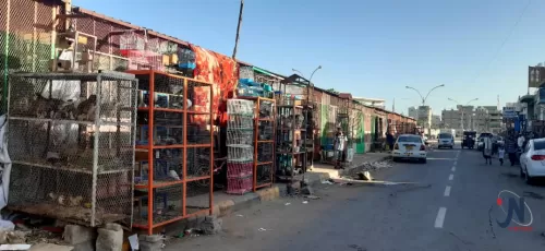 سوق الطيور - عدن -نيوزيمن