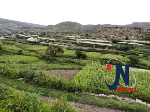 حديث الصور.. شلالات الخضرة والصيف في "السنام- وادي سربة"