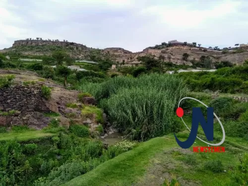 حديث الصور.. شلالات الخضرة والصيف في "السنام- وادي سربة"