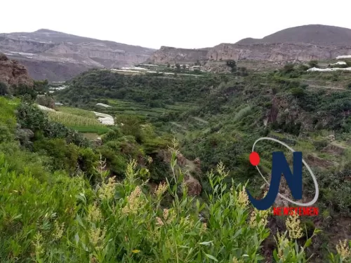 حديث الصور.. شلالات الخضرة والصيف في "السنام- وادي سربة"