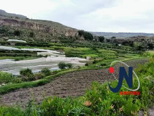 حديث الصور.. شلالات الخضرة والصيف في "السنام- وادي سربة"